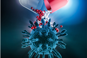 Anticancer studies 