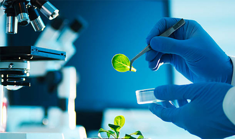 contract research in trichy