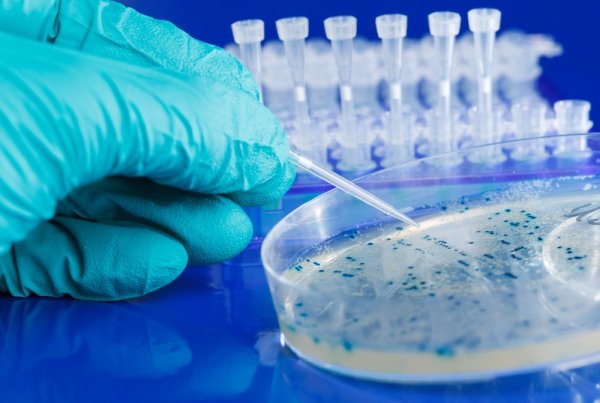 biotechnology internship