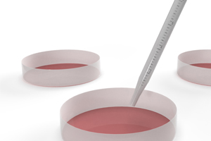Isolation of primary cells 