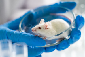 Laboratory Animal Techniques