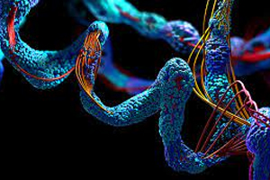 Proteomics 